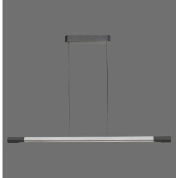 Paul Neuhaus Hoop Pendelbelysning LED Antracit, Silver, 1-ljuskällor