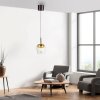Paul Neuhaus Q-Serie Q-Kon Pendelbelysning LED Brun, 1-ljuskällor, Fjärrkontroll