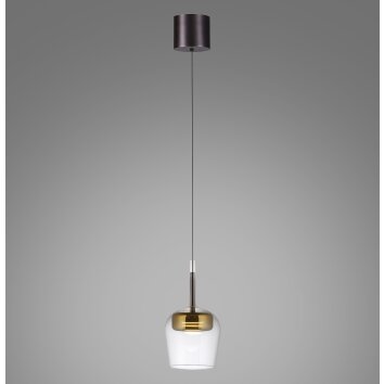 Paul Neuhaus Q-Serie Q-Kon Pendelbelysning LED Brun, 1-ljuskällor, Fjärrkontroll Paul Neuhaus Q-Serie Q-Kon Pendelbelysning LED Brun, 1-ljuskällor, Fjärrkontroll