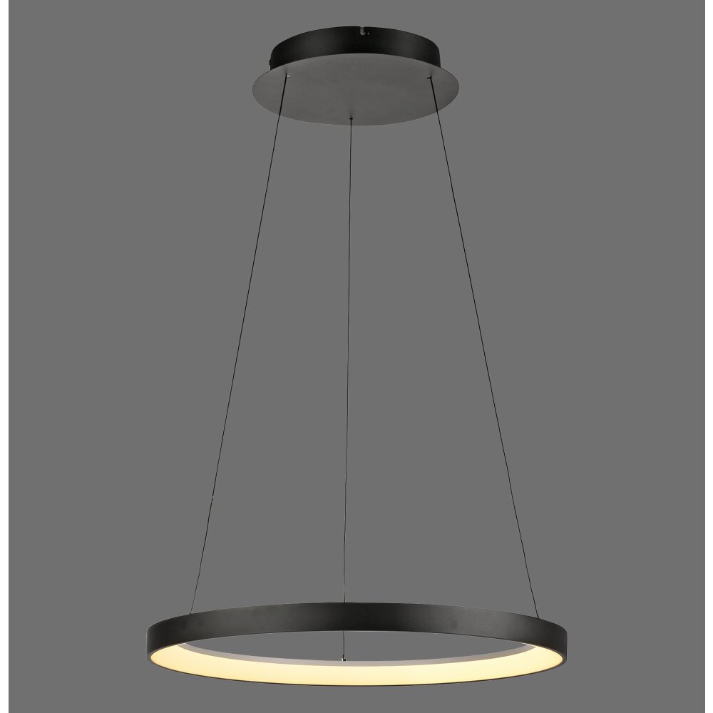 Paul Neuhaus Hoop Pendelbelysning LED Svart, 1-ljuskällor main product photo