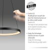 Paul Neuhaus Hoop Pendelbelysning LED Svart, 1-ljuskällor
