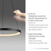 Paul Neuhaus Hoop Pendelbelysning LED Svart, 1-ljuskällor