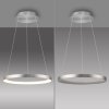 Paul Neuhaus Hoop Pendelbelysning LED Silver, 1-ljuskällor