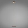 Paul Neuhaus Q-Rotate Golvlampa LED Brun, 1-ljuskällor, Fjärrkontroll