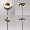 Paul Neuhaus Q-Rotate Golvlampa LED Brun, 1-ljuskällor, Fjärrkontroll