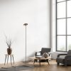 Paul Neuhaus Q-Rotate Golvlampa LED Brun, 1-ljuskällor, Fjärrkontroll