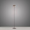 Paul Neuhaus Q-Rotate Golvlampa LED Brun, 1-ljuskällor, Fjärrkontroll