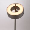 Paul Neuhaus Q-Rotate Bordslampa LED Brun, 1-ljuskällor, Fjärrkontroll
