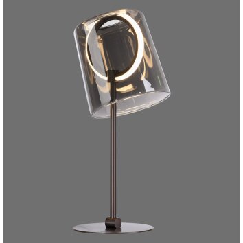 Paul Neuhaus Zula Bordslampa LED Svart, 1-ljuskällor