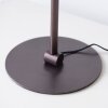 Paul Neuhaus Zula Bordslampa LED Svart, 1-ljuskällor