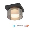 Paul Neuhaus Rika Taklampa LED Svart, 1-ljuskällor