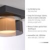 Paul Neuhaus Rika Taklampa LED Svart, 1-ljuskällor