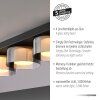 Paul Neuhaus Rika Taklampa LED Svart, 4-ljuskällor
