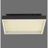 Paul Neuhaus Q-Magong Taklampa LED Svart, 1-ljuskällor, Fjärrkontroll
