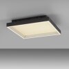 Paul Neuhaus Q-Magong Taklampa LED Svart, 1-ljuskällor, Fjärrkontroll