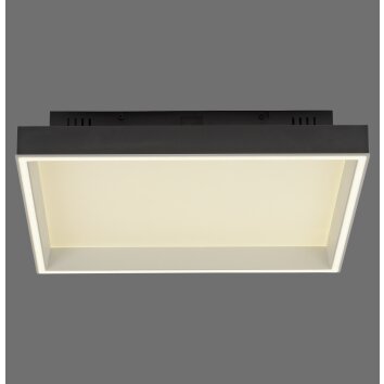 Paul Neuhaus Q-Magong Taklampa LED Svart, 1-ljuskällor, Fjärrkontroll