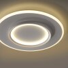 Paul Neuhaus Q-Kalina Taklampa LED Vit, 1-ljuskällor, Fjärrkontroll