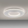 Paul Neuhaus Q-Kalina Taklampa LED Vit, 1-ljuskällor, Fjärrkontroll