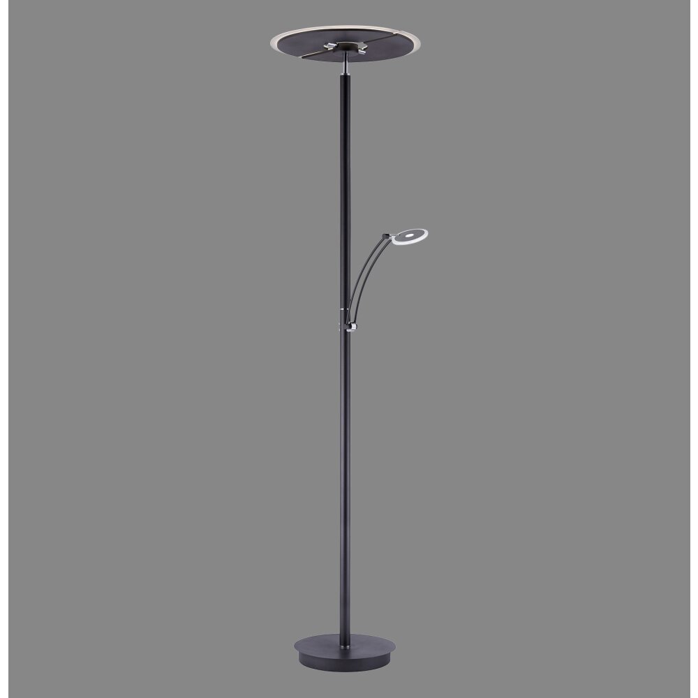 Paul Neuhaus Artur Golvlampa LED Antracit, 2-ljuskällor main product photo