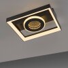Paul Neuhaus Traforo Taklampa LED Svart, 1-ljuskällor, Fjärrkontroll