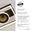 Paul Neuhaus Traforo Taklampa LED Svart, 1-ljuskällor, Fjärrkontroll