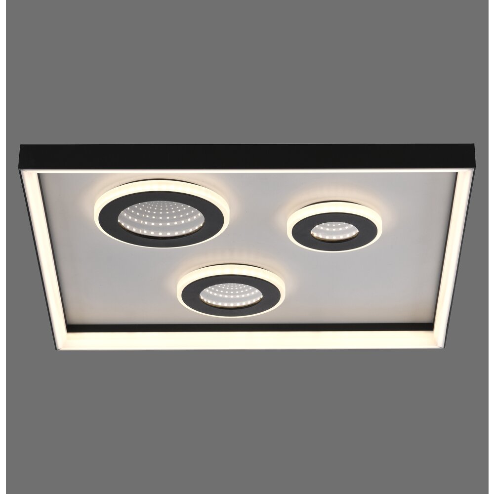 Paul Neuhaus Dune Taklampa LED Svart, 1-ljuskällor, Fjärrkontroll main product photo