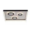 Paul Neuhaus Dune Taklampa LED Svart, 1-ljuskällor, Fjärrkontroll