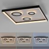 Paul Neuhaus Dune Taklampa LED Svart, 1-ljuskällor, Fjärrkontroll