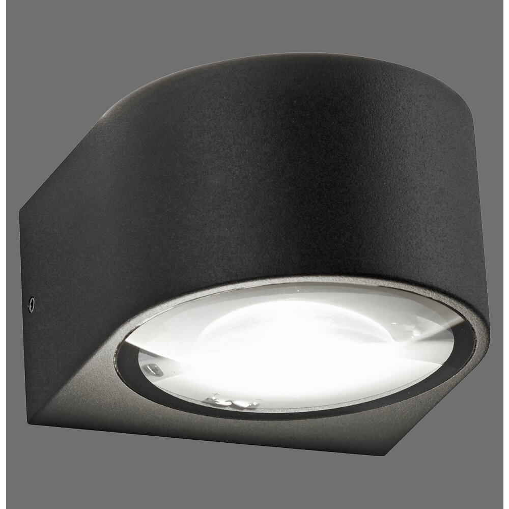 Paul Neuhaus Carla Vägglampa LED Antracit, 2-ljuskällor main product photo