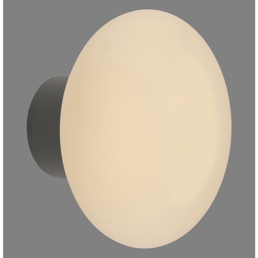 Paul Neuhaus Olaf Vägg- och taklampor LED Grått, 1-ljuskällor main product photo