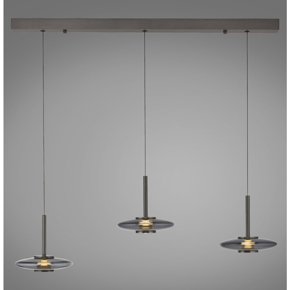 Paul Neuhaus Vitrum Pendelbelysning LED Grått, 6-ljuskällor main product photo
