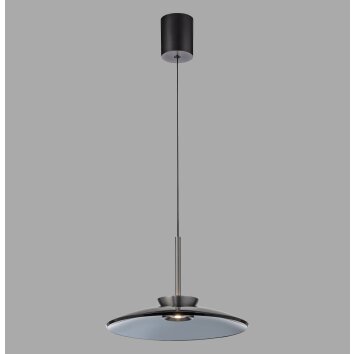 Paul Neuhaus Lampor E-Moon Pendelbelysning LED Grått, 2-ljuskällor, Fjärrkontroll