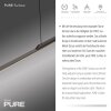 Paul Neuhaus Surface Pendelbelysning LED Grått, 1-ljuskällor