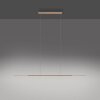 Paul Neuhaus Surface Pendelbelysning LED Brons, 1-ljuskällor