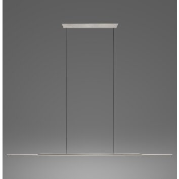 Paul Neuhaus Lampor Surface Pendelbelysning LED Grått, 1-ljuskällor Paul Neuhaus Lampor Surface Pendelbelysning LED Grått, 1-ljuskällor