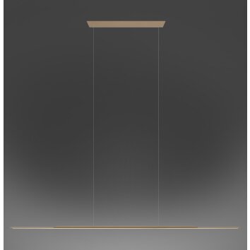 Paul Neuhaus Surface Pendelbelysning LED Brons, 1-ljuskällor