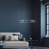 Paul Neuhaus E-Loop Pendelbelysning LED Grått, 2-ljuskällor, Fjärrkontroll