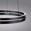 Paul Neuhaus E-Loop Pendelbelysning LED Grått, 2-ljuskällor, Fjärrkontroll