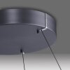 Paul Neuhaus Lampor E-Loop Pendelbelysning LED Grått, 2-ljuskällor, Fjärrkontroll