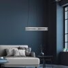 Paul Neuhaus Lampor E-Loop Pendelbelysning LED Silver, 2-ljuskällor, Fjärrkontroll