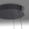 Paul Neuhaus Lampor E-Loop Pendelbelysning LED Svart, 2-ljuskällor, Fjärrkontroll