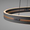Paul Neuhaus Lampor E-Loop Pendelbelysning LED Svart, 2-ljuskällor, Fjärrkontroll