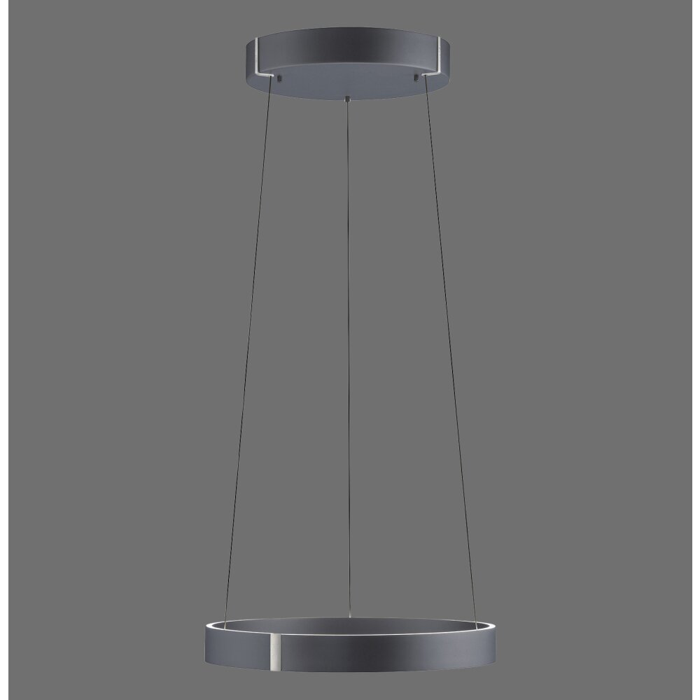Paul Neuhaus E-Clipse Pendelbelysning LED Grått, 2-ljuskällor, Fjärrkontroll main product photo