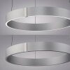 Paul Neuhaus E-Clipse Pendelbelysning LED Silver, 2-ljuskällor, Fjärrkontroll