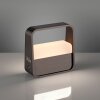 Paul Neuhaus Go Bordslampa LED Brun, 1-ljuskällor