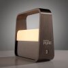 Paul Neuhaus Go Bordslampa LED Brun, 1-ljuskällor