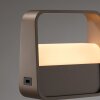 Paul Neuhaus Go Bordslampa LED Brons, 1-ljuskällor