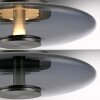 Paul Neuhaus Vitrum Bordslampa LED Grått, 1-ljuskällor