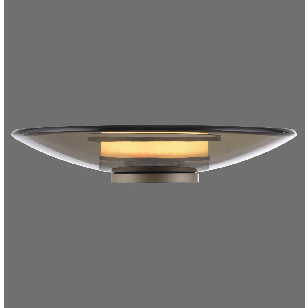 Paul Neuhaus Moon Bordslampa LED Brons, 1-ljuskällor main product photo