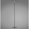 Paul Neuhaus Vitrum Golvlampa LED Grått, 2-ljuskällor